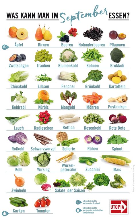 Welches Gemüse für welche Jahreszeit?